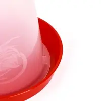 Поилка для домашней птицы, 5 л, МИКС