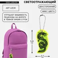 Светоотражающий элемент &laquo;Силуэт дракона&raquo;, двусторонний, 5.8&times;3.1 см, МИКС