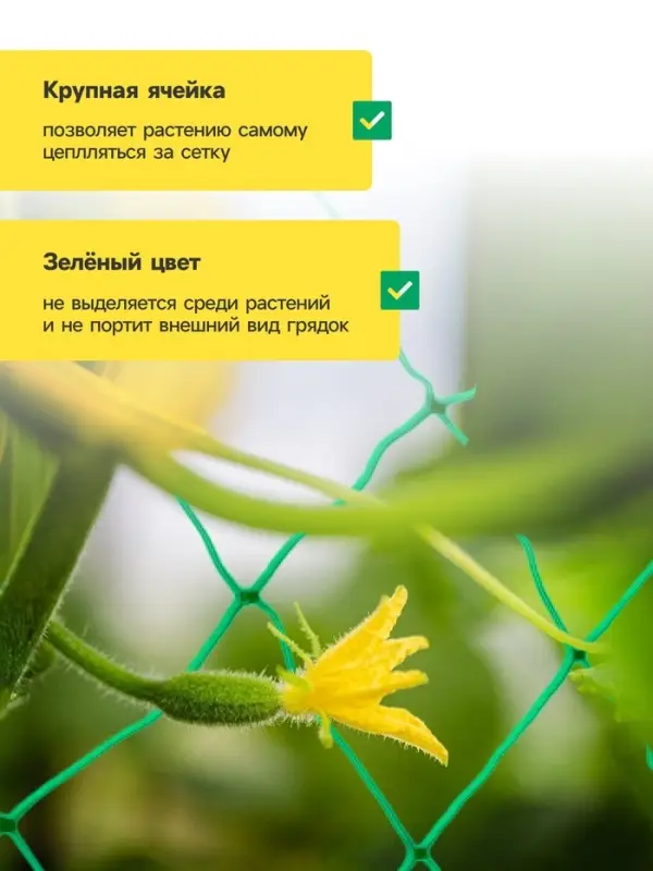 Сетка садовая для огурцов, шпалерная, 10&times;2 м, ячейка 15&times;15 см, Greengo