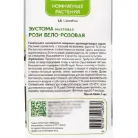 Семена цветов Эустома махровая Рози Бело-розовая, 5шт