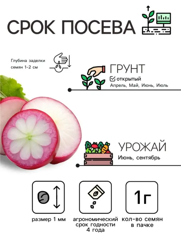 Семена Редька &laquo;Зимняя&raquo; круглая, чёрная, 1 г, &laquo;Агрофирма АЭЛИТА&raquo;