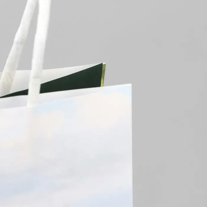 Пакет подарочный под бутылку, упаковка, «Вино», белый крафт, 13 х 36 х 10 см Пакет подарочный под бутылку, упаковка, «Вино», белый крафт, 13 х 36 х 10 см