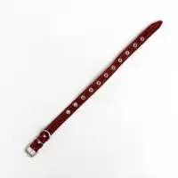 Ошейник кожаный однослойный безразмерный, 45&times;2 см, ОШ 18-39 см, коричневый