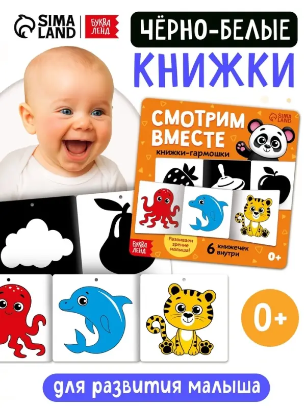 Набор картонных книжек-гармошек Набор картонных книжек-гармошек "Смотрим вместе", 6 шт.