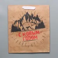 Пакет подарочный новогодний крафтовый «Суровая зима», M 26 х 30 х 9 см