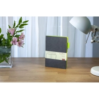 Ежедневник недатированный А5 BOSTON(СЕРЫЙ) 3-228/08