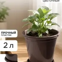 Горшок цветочный с поддоном &laquo;Альтернатива. Эконом&raquo;, 2 л, пластиковый, коричневый