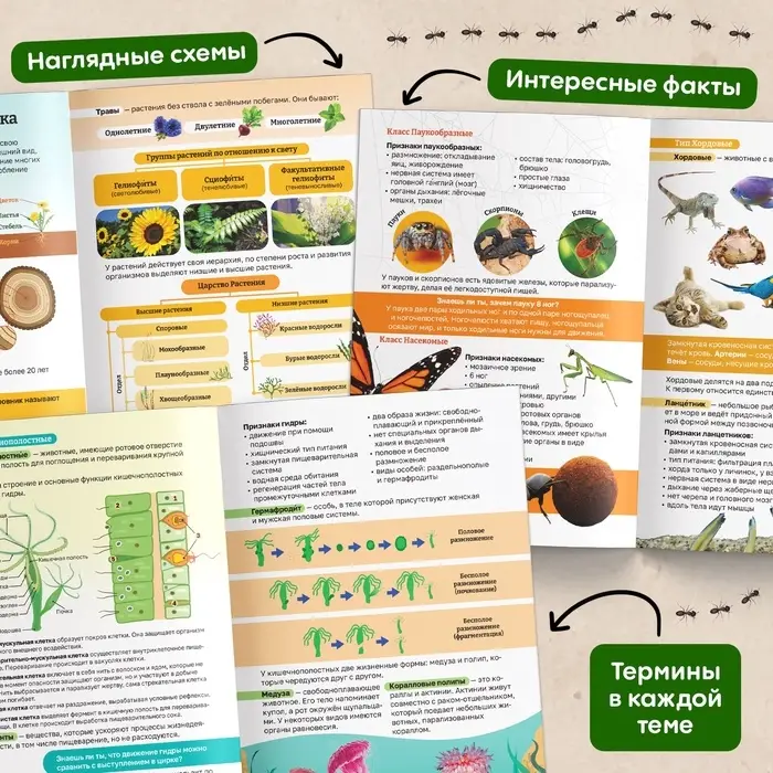 Энциклопедия в мягком переплёте &laquo;Биология для детей&raquo;, 68 стр.
