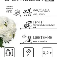 Семена цветов Астра &laquo;Белые лебеди&raquo;, 0.2 г, &laquo;Рецепты дедушки Никиты&raquo;