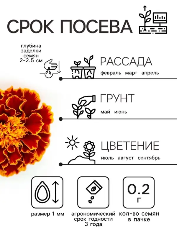 Семена цветов Бархатцы  Семена цветов Бархатцы "Болеро", 0,2 г