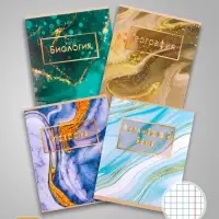 Набор предметных тетрадей Calligrata &laquo;Мрамор светлый&raquo;, 10 предметов, 48 листов, со справочным материалом, обложка из мелованного картона