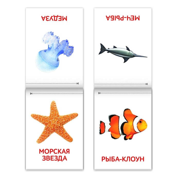 Книги «Карточки Домана. Окружающий мир», набор, 8 шт. по 20 стр. Книги «Карточки Домана. Окружающий мир», набор, 8 шт. по 20 стр.