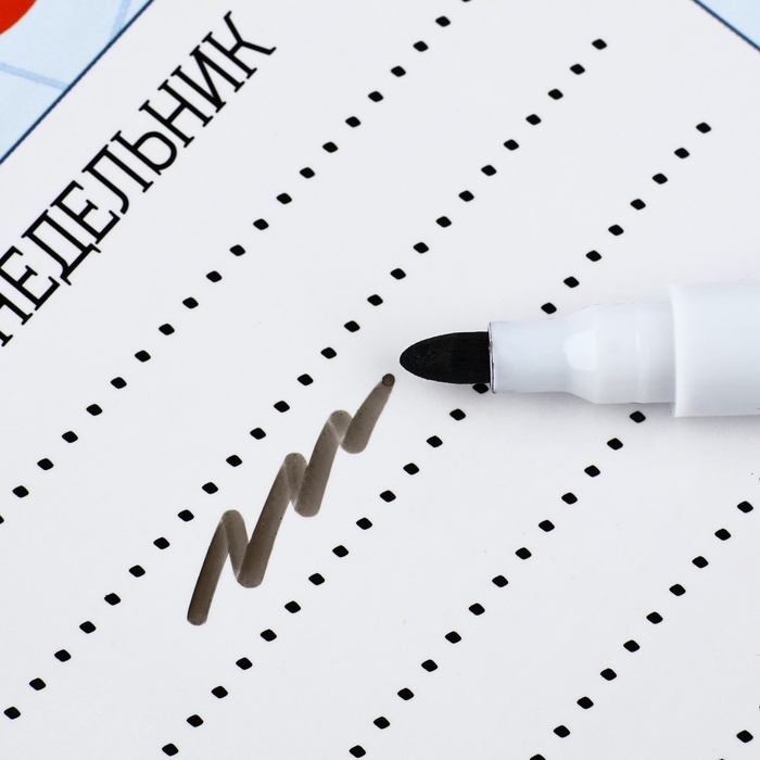 Магнитное расписание уроков многоразовое &laquo;Пора в школу&raquo;, А3, с маркером