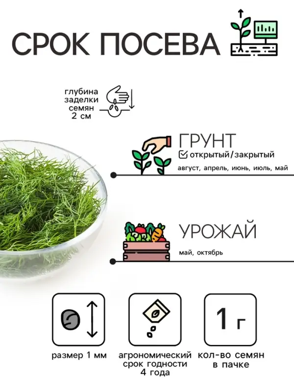 Семена Укроп &laquo;Обильнолистный&raquo;, 2 г, &laquo;Рецепты дедушки Никиты&raquo;