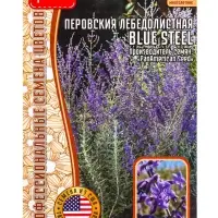 Семена цветов Перовския Blue Steel лебедолистная  3шт / НОВИНКА 12.29 г.