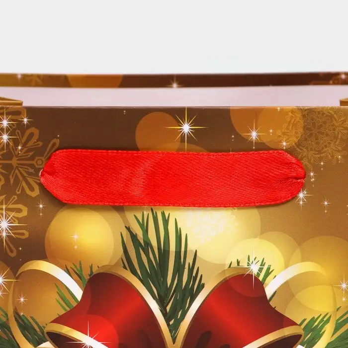 Пакет подарочный, ламинированный, Пакет подарочный, ламинированный, "Бантик",18 х 23 х 10 см