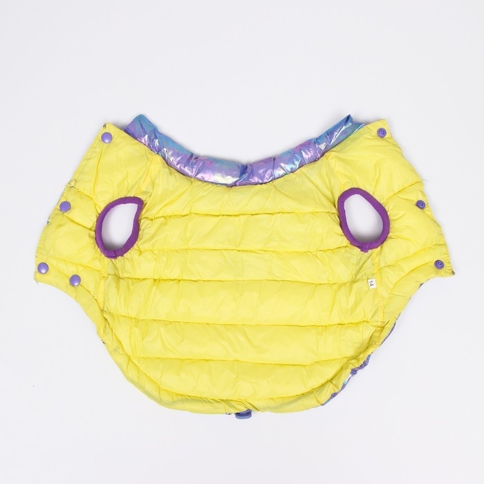 Куртка для собак двухсторонняя с утяжкой, размер 10 (ДС 25, ОГ 34,ОШ 24),фиолетовая/жёлтая Куртка для собак двухсторонняя с утяжкой, размер 10 (ДС 25, ОГ 34,ОШ 24),фиолетовая/жёлтая