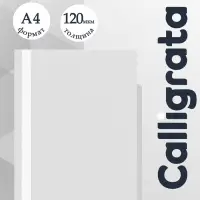 Папка-скоросшиватель Calligrata, А4, 120 мкм, белая, прозрачный верх