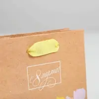 Пакет подарочный вертикальный крафтовый, упаковка, «Цветочная вереница», S 12 х 15 х 5.5 см Пакет подарочный вертикальный крафтовый, упаковка, «Цветочная вереница», S 12 х 15 х 5.5 см