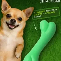 Жевательная игрушка для собак &laquo;Косточка классическая&raquo;, 12.3 см, TPR, зелёная