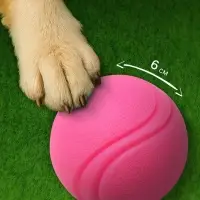 Мячик для собак, 6 см, цельнолитой, прыгучий, TPR, розовый