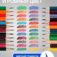 Карандаши Calligrata, цветные, двусторонние, 24 цвета, 12 шт., трёхгранные, деревянные