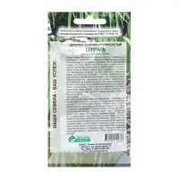 Семена цветов Джункус развесистый "Спираль", 5 шт Семена цветов Джункус развесистый "Спираль", 5 шт