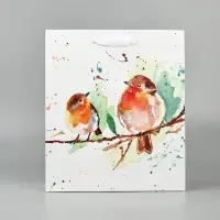 Набор пакетов «Новый год», 3 шт, 26 × 30 × 9 см Набор пакетов «Новый год», 3 шт, 26 × 30 × 9 см