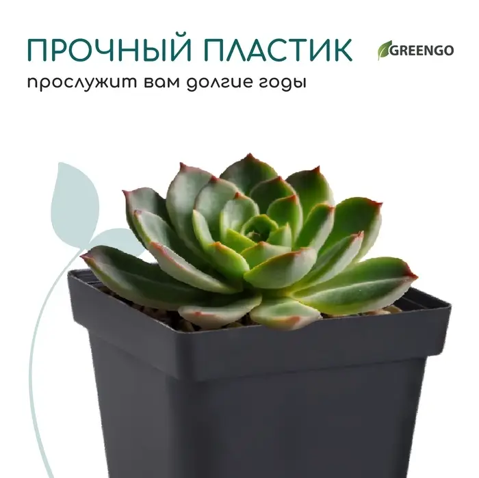 Горшок для рассады, 700 мл, d=10 см, h=12.5 см, пластик, чёрный, Greengo Горшок для рассады, 700 мл, d=10 см, h=12.5 см, пластик, чёрный, Greengo