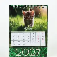Календарь-домик 2027 &laquo;Котики&raquo;