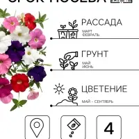Семена цветов Петуния &laquo;Изи вейв&raquo;, F1, смесь сортов, драже, PanAmerican Seed, 4 шт., &laquo;Агрофирма АЭЛИТА&raquo;