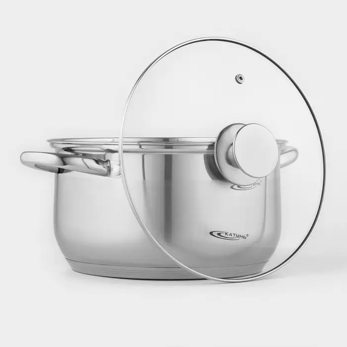 Кастрюля Катунь &laquo;Диана&raquo;, 6 л, d=24 см, с крышкой, капсульное дно, индукция, нержавеющая сталь, AISI - 201, хромированная
