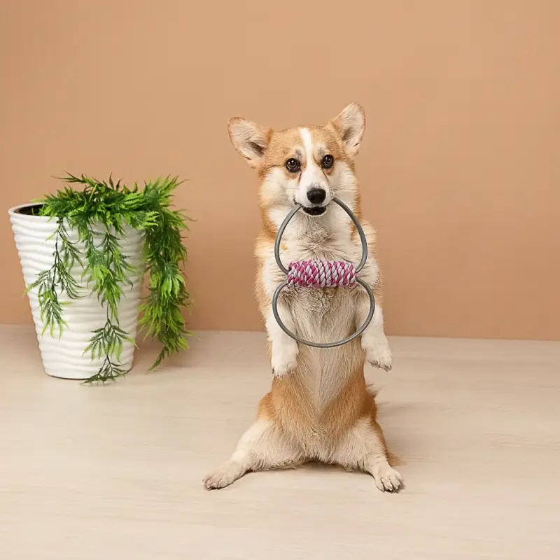 VETTA Игрушка для домашних животных, ТПР, 11х4,5 см