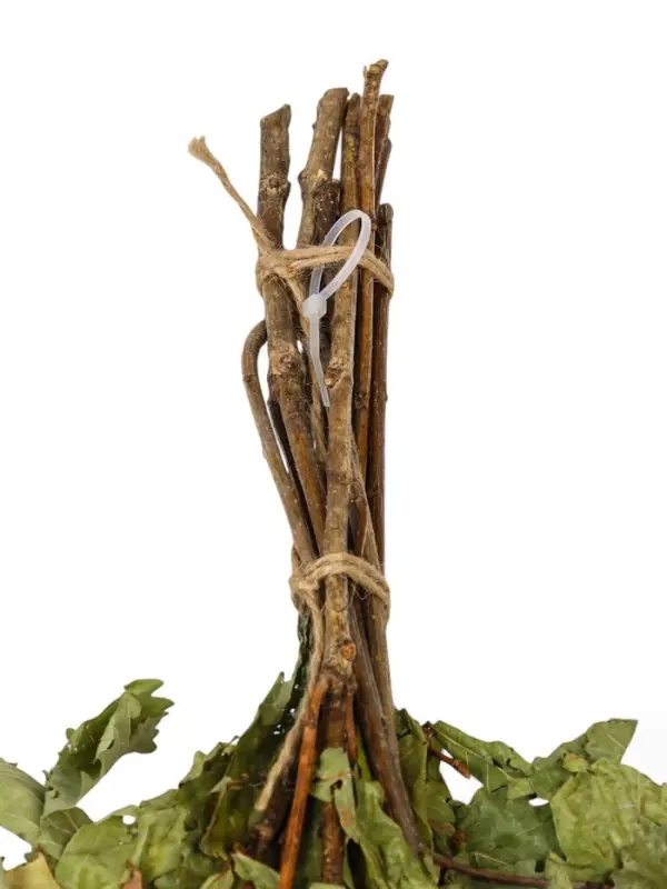 Веник для бани, дубовый