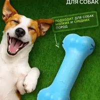 Жевательная игрушка для собак &laquo;Вкусная кость&raquo;, 11 см, с отверстиями для лакомств, TPR, голубая
