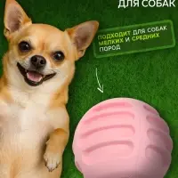 Мяч для собак &laquo;Полосатик&raquo;, 6 см, рифлёный, TPR, розовый