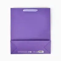 Пакет подарочный &laquo;Подарок&raquo;, голография, M 26&times;9&times;30 см