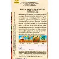 Семена цветов Колеус балконный Арабески, смесь сортов Мн Декоративно-лиственные, Ц/П,5 шт. Семена цветов Колеус балконный Арабески, смесь сортов Мн Декоративно-лиственные, Ц/П,5 шт.