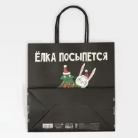 Пакет подарочный новогодний «А ты держись», 22 х 22 х 11 см Пакет подарочный новогодний «А ты держись», 22 х 22 х 11 см