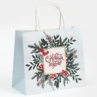 Пакет подарочный крафтовый «Рябина», 25 х 22 х 12 см Пакет подарочный крафтовый «Рябина», 25 х 22 х 12 см