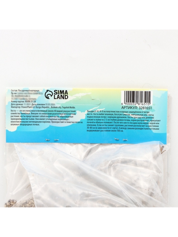 Хоста «Абиква Дринкинг Гурд», корневище в пакете с торфогрунтом, р-р I, 1 шт.