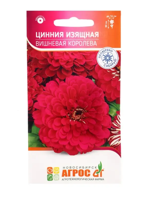 Семена Цинния &laquo;Изящная Вишневая Королева&raquo;, 0.5 г, &laquo;Агрос&raquo;