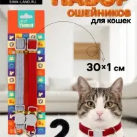 Набор ошейников для кошек &laquo;Пижон&raquo;, 30&times;1 см, серый, красный