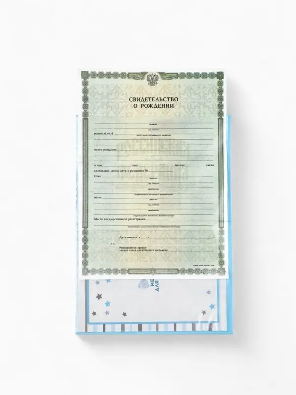 Папка для свидетельства о рождении «Бабочка», А5 Папка для свидетельства о рождении «Бабочка», А5