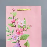 Пакет подарочный ламинированный &laquo;Нежный комплимент&raquo;, розовый, 18&times;22.3&times;10 см