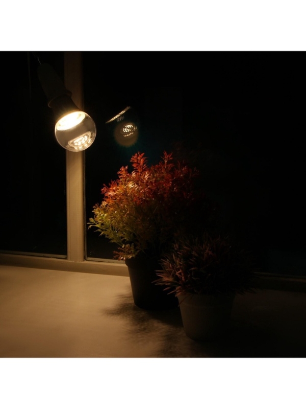 Фитолампа для растений Luazon, светодиодная, А60, E27, 9 Вт, IP44, 220 В, 270°, полноспектральная Фитолампа для растений Luazon, светодиодная, А60, E27, 9 Вт, IP44, 220 В, 270°, полноспектральная