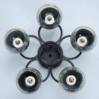 Светильник потолочный BayerLux &laquo;Айрис&raquo;, 5&times;Е27, 40 Вт, чёрный, 47&times;47&times;23 см