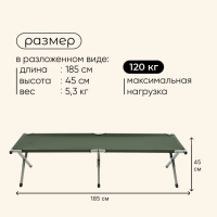 Раскладушка maclay, складная, 184 х 59 х 40 см, до 120 кг, цвет зелёный