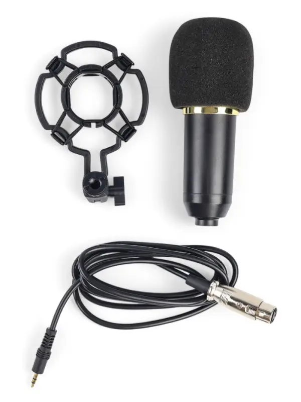 Микрофон конденсаторный Music Life золотой: кабель, ветрозащита, стойка