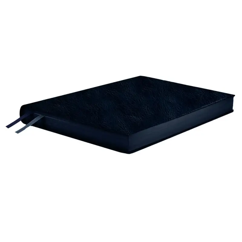 Ежедневник Merida, датированный, синий Ежедневник Merida, датированный, синий